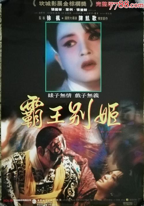 作假会计证书